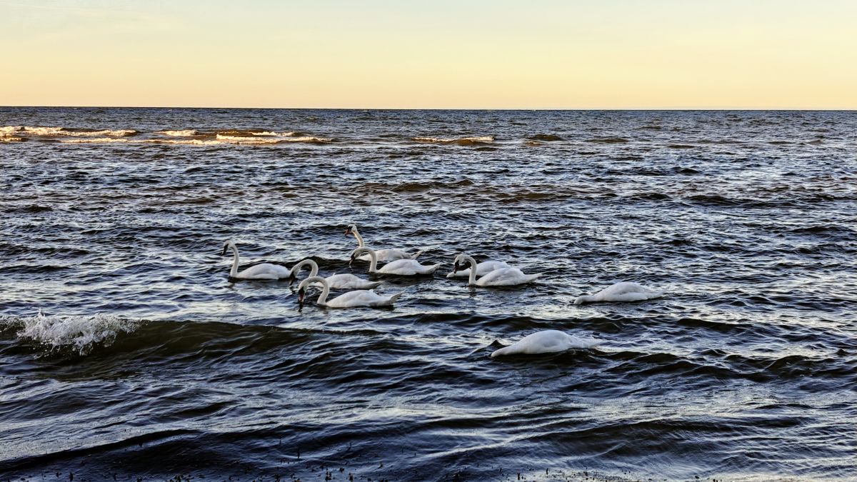 Weather Photos in Jūrmala. Weather forecasts with beautiful photos by newgen