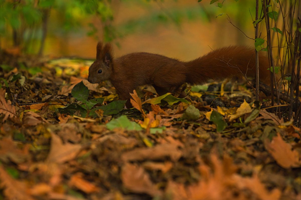 Photographer martinm611, Weather Photos in Gdansk - Weawow