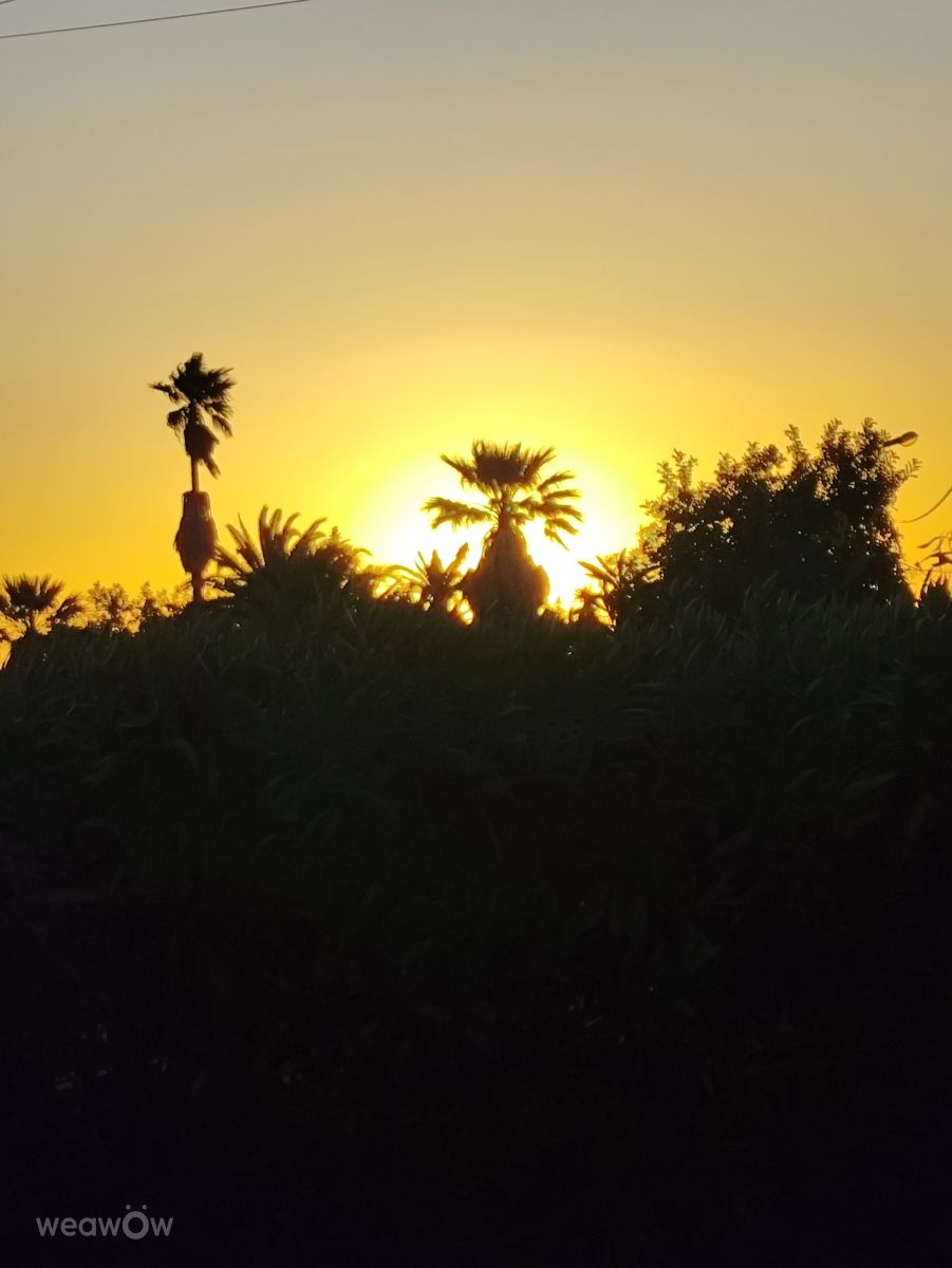 Фотографии Погоды в Vila Marachique. Прогнозы погоды с чудесными фотографиями, сделанными Brtd