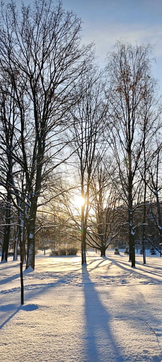 Photos météo à Léningrad. Prévisions météo avec de superbes photos de lynx1967