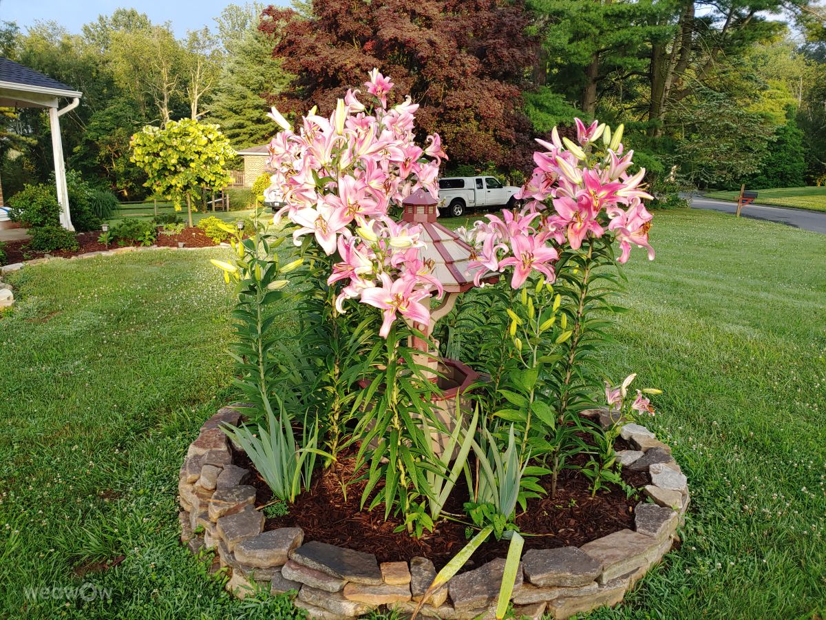 Photos météo à Fallston. Prévisions météo avec de superbes photos de Bwoodwilly