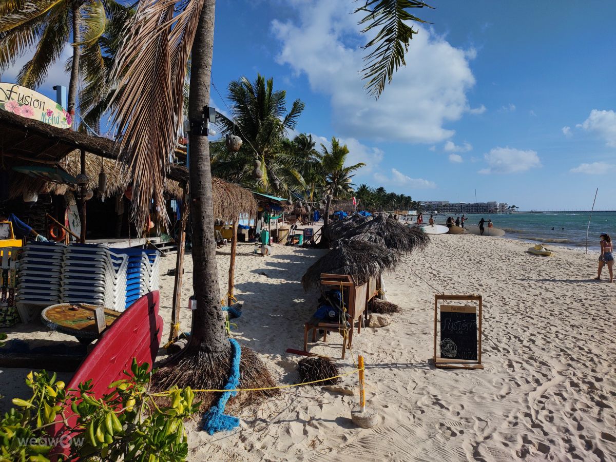 墨西哥的天气照片. 天气预报，带Roberto Goode精美的照片