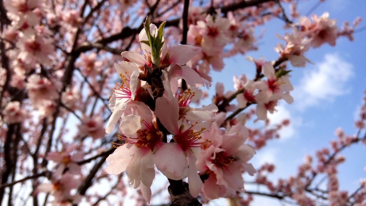 Фотографии Погоды в Lipany. Прогнозы погоды с чудесными фотографиями, сделанными erik76b