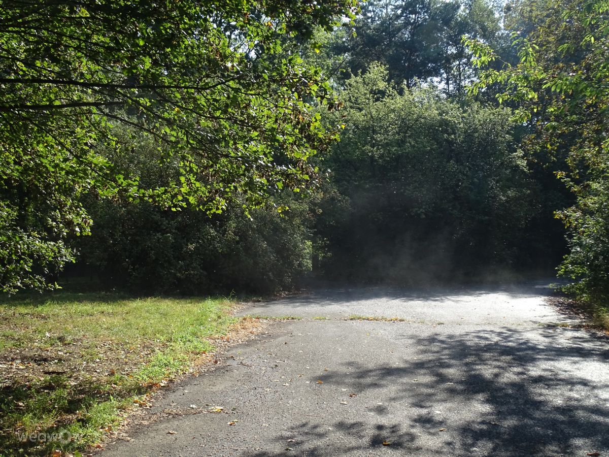 Fotografos Vasek325, Fotos do tempo em Praha 12 - Weawow