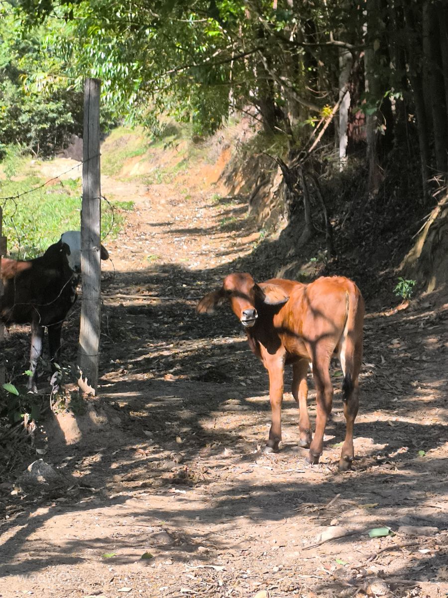 Fotos sobre el clima en Minas Gerais. Pronósticos del tiempo con hermosas fotos de Tárcila Miranda