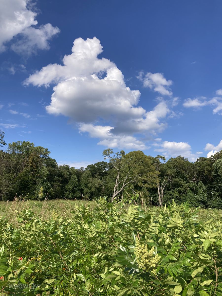 新泽西州的天气照片. 天气预报，带PermanentInc精美的照片