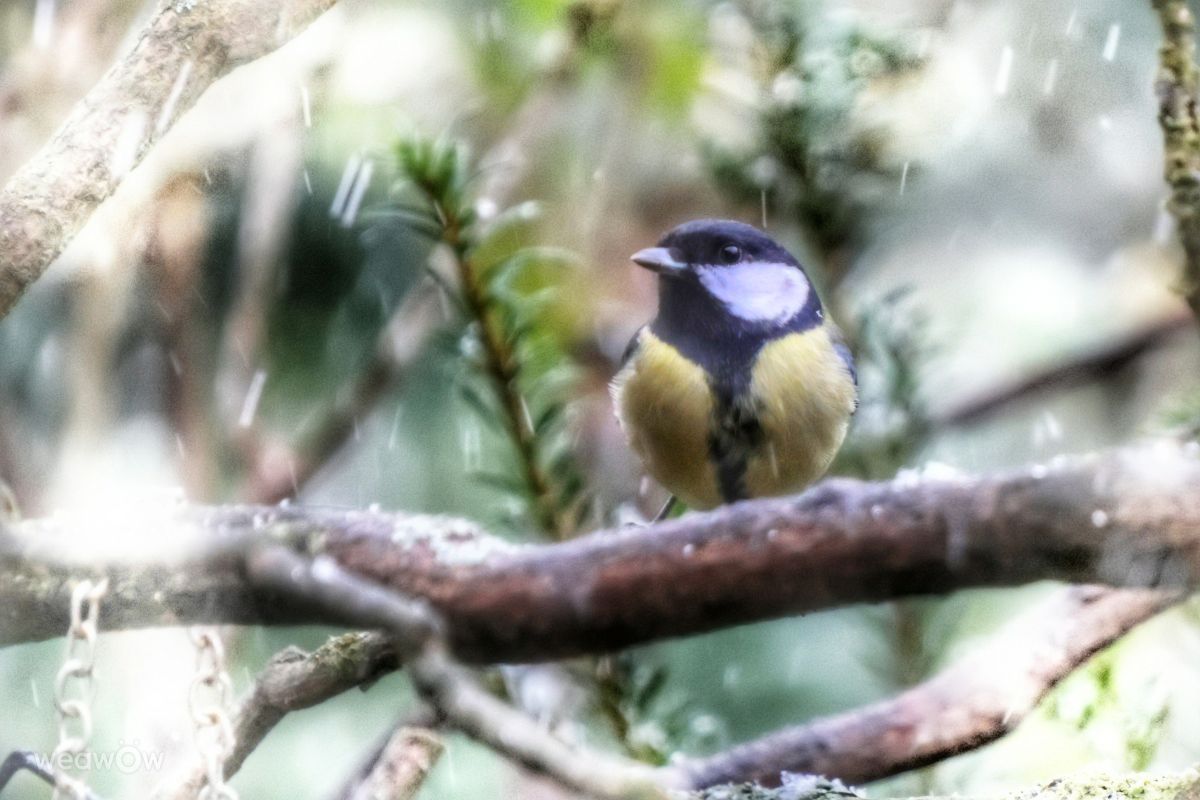 Weather Photos in Stockum. Weather forecasts with beautiful photos by Lotti5507