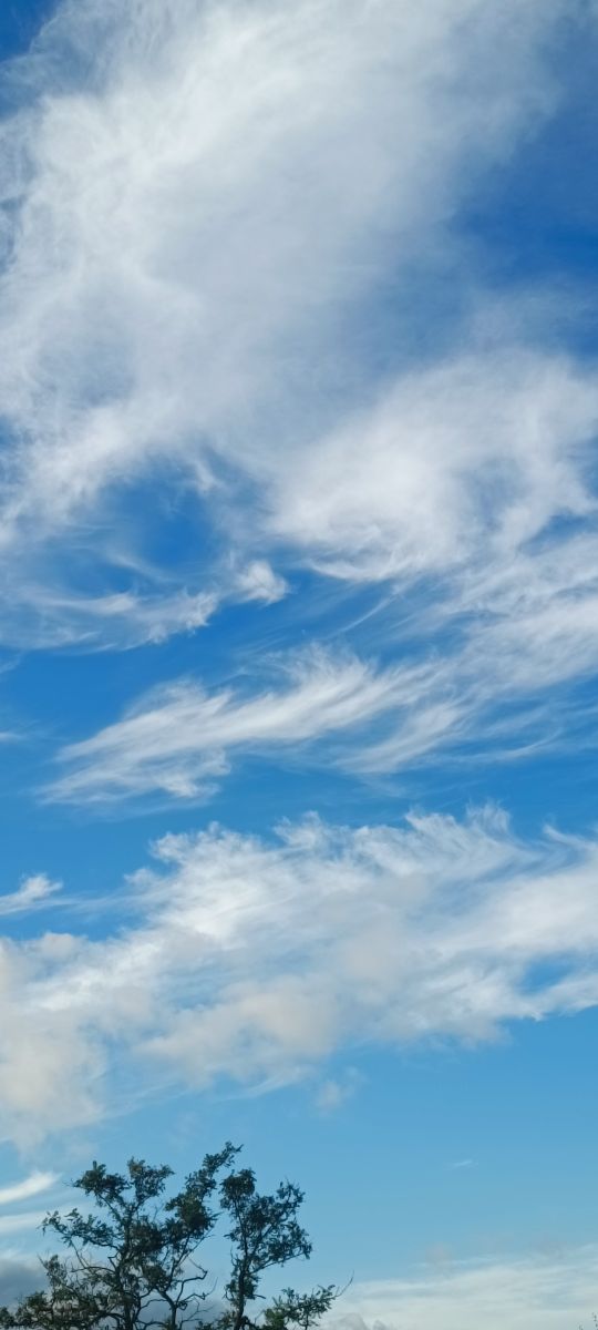 Photos météo à Ochakiv. Prévisions météo avec de superbes photos de Ligur