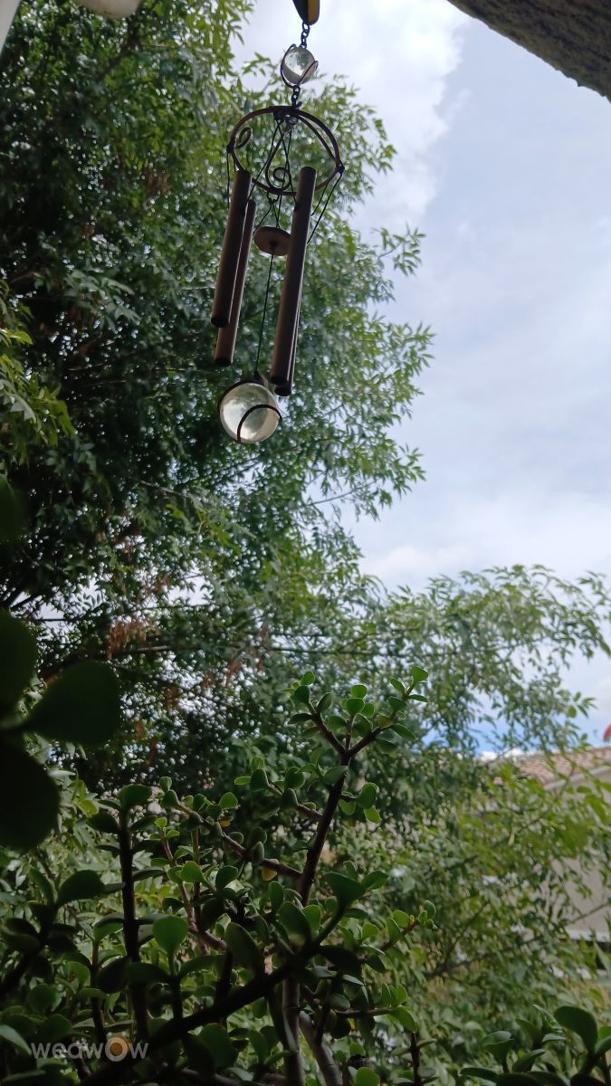 Weather Photos in México. Weather forecasts with beautiful photos by Rubens C. Rios