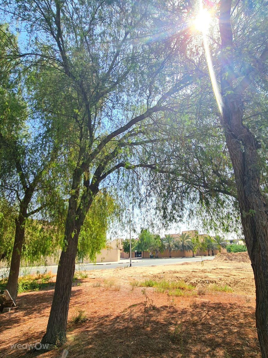 Weather Photos in United Arab Emirates. Weather forecasts with beautiful photos by phantran