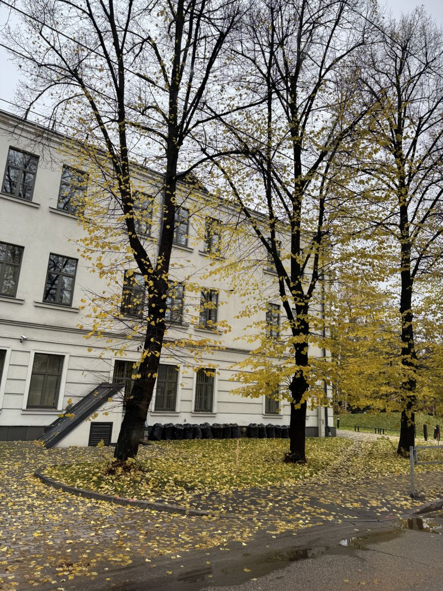 Weather Photos in Rīga. Weather forecasts with beautiful photos by Svet-Lana