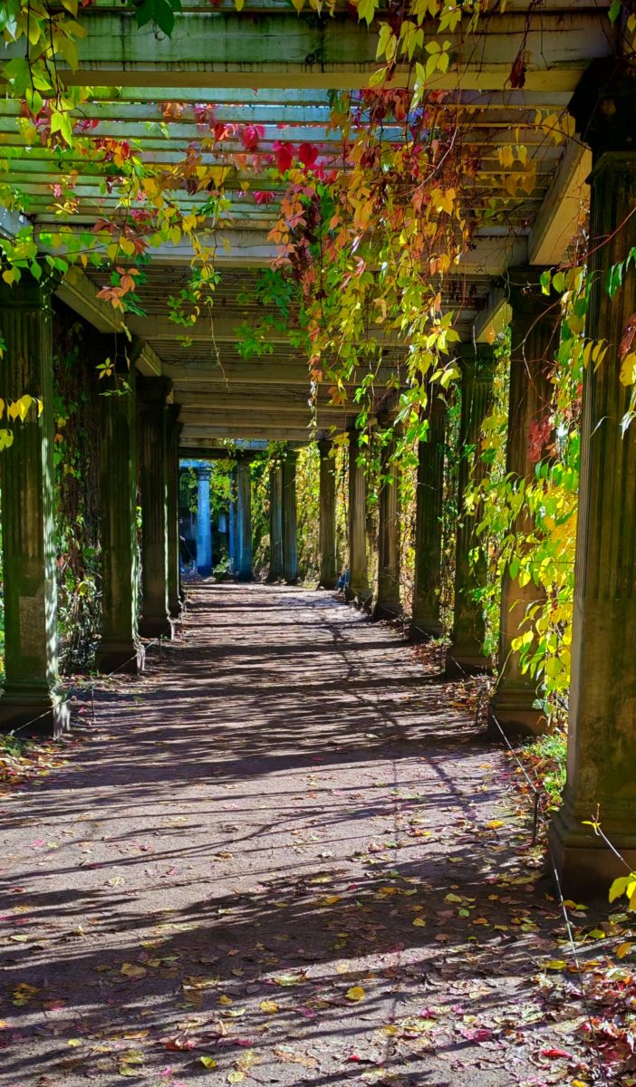 Photos météo à Saint-Pétersbourg. Prévisions météo avec de superbes photos de Elena55