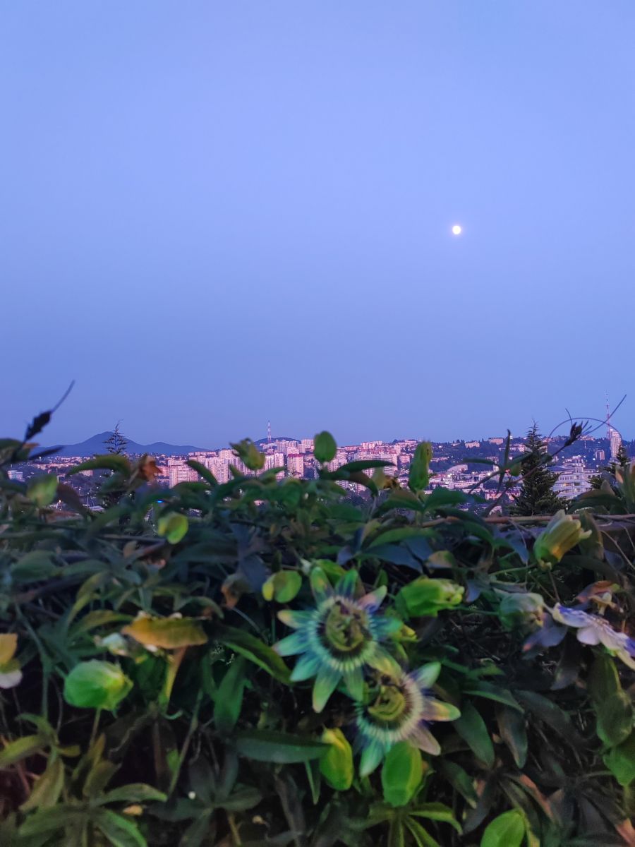 Fotos sobre el clima en Sochi. Pronósticos del tiempo con hermosas fotos de Albert_Smelovtsev