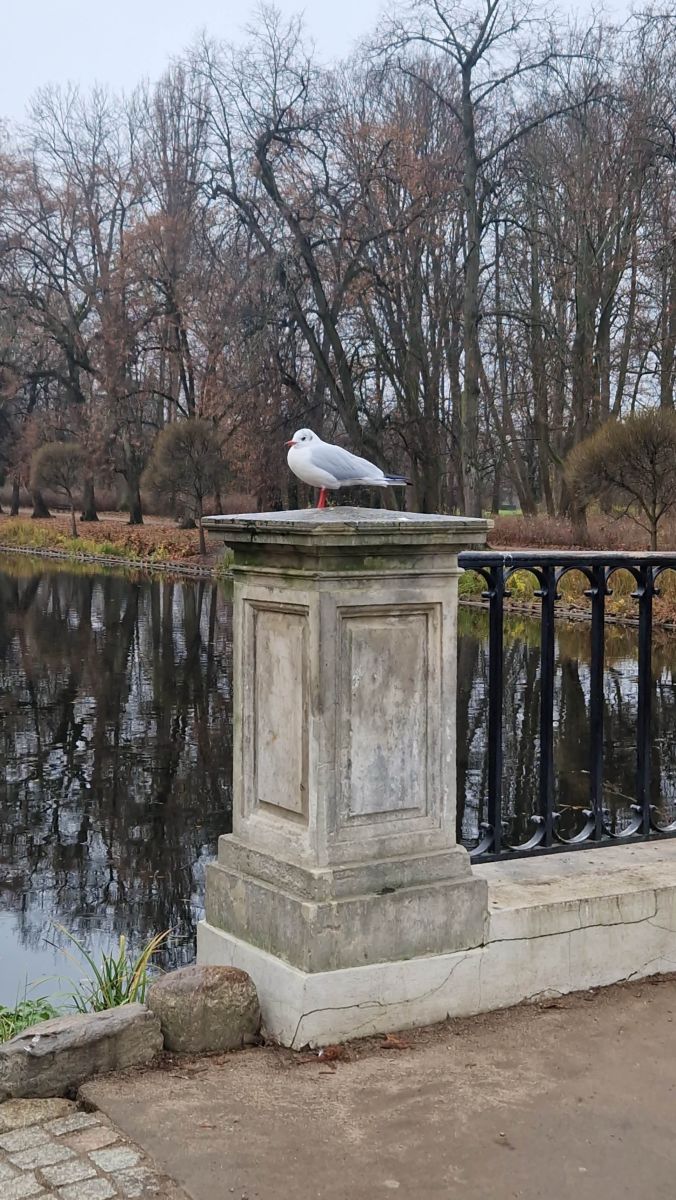 ポーランドの天気写真. jdabrの美しい写真による天気予報
