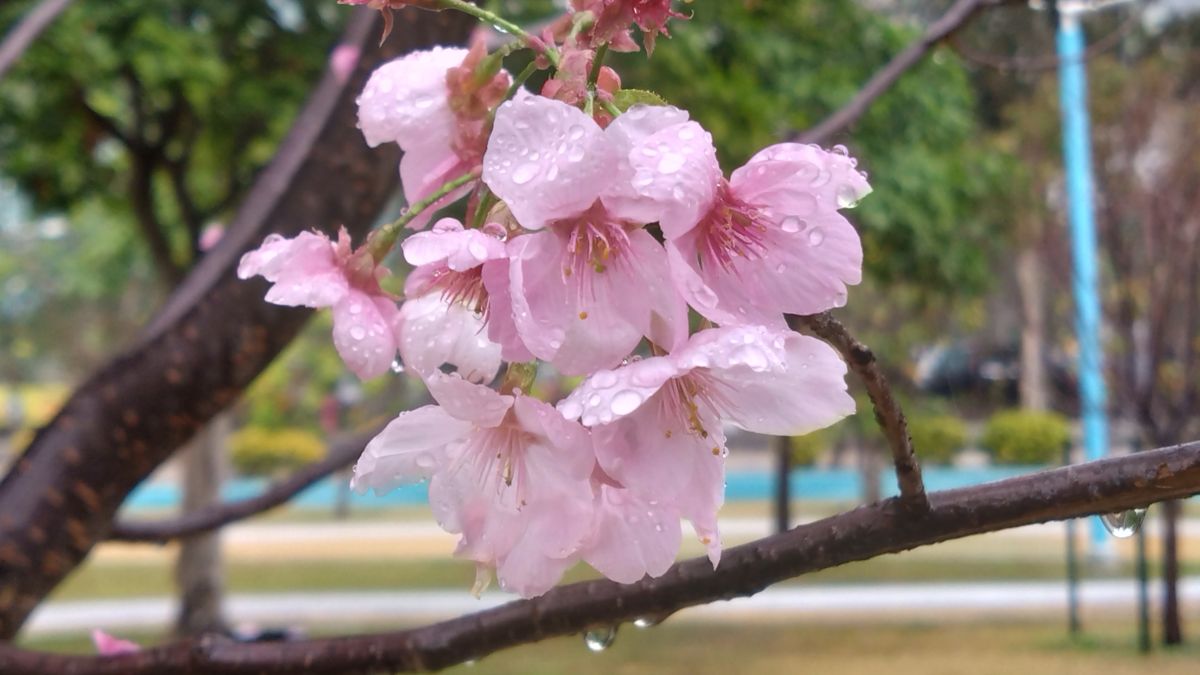 Weather Photos in Hong Kong. Weather forecasts with beautiful photos by Ensign_Lau
