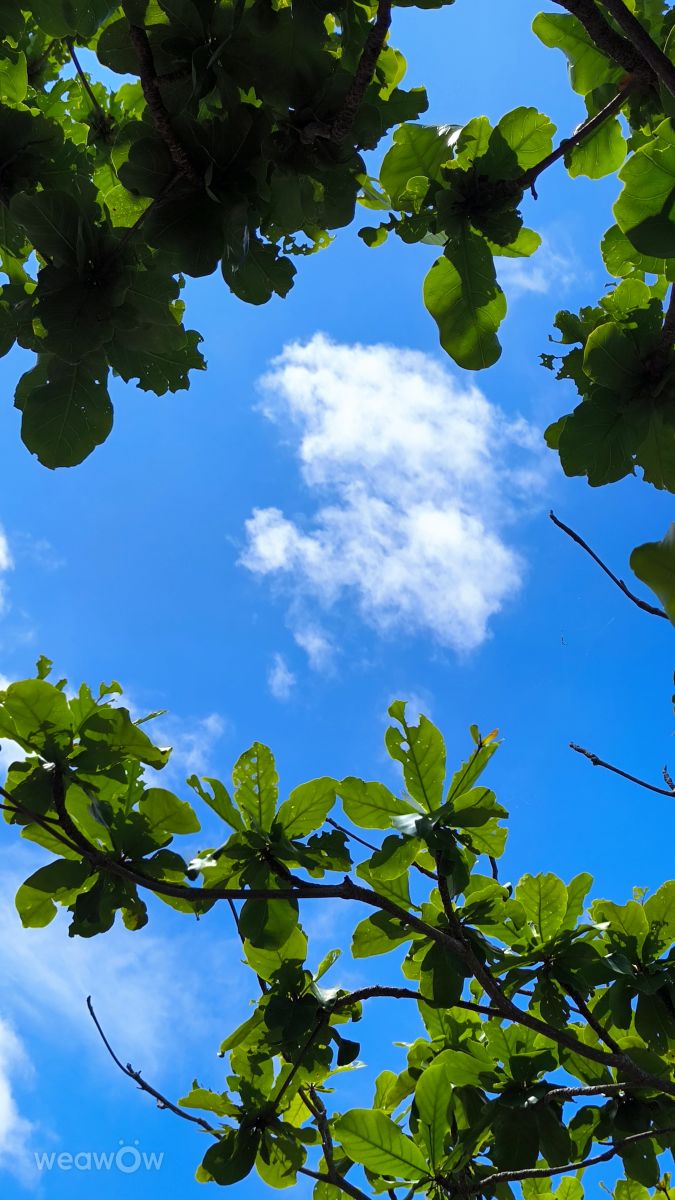 Photographer Takimi-sky, Weather Photos in Gushikawa - Weawow