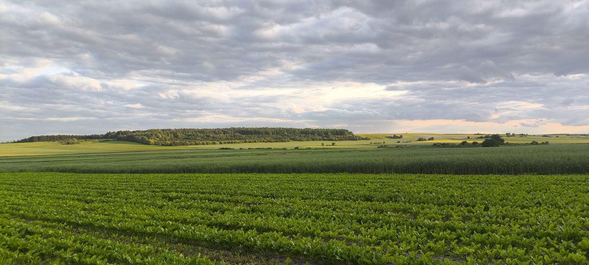 Hình ảnh Thời tiết ở Lublin Voivodeship. Dự báo thời tiết với những bức ảnh đẹp của Jacek-J