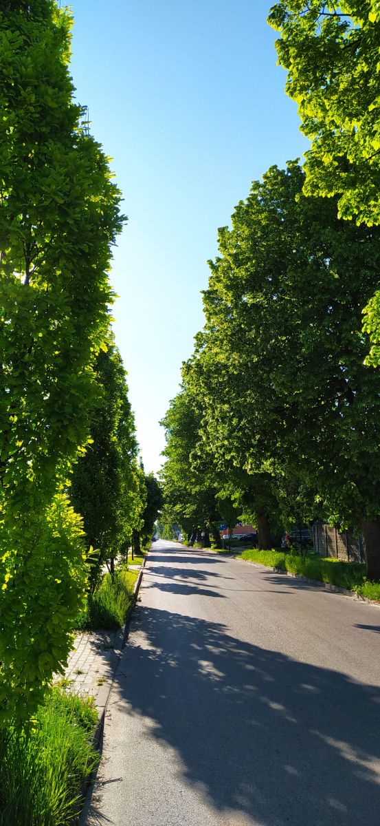 Fotógrafo Romek58, Fotos sobre el clima en Wieluń - Weawow