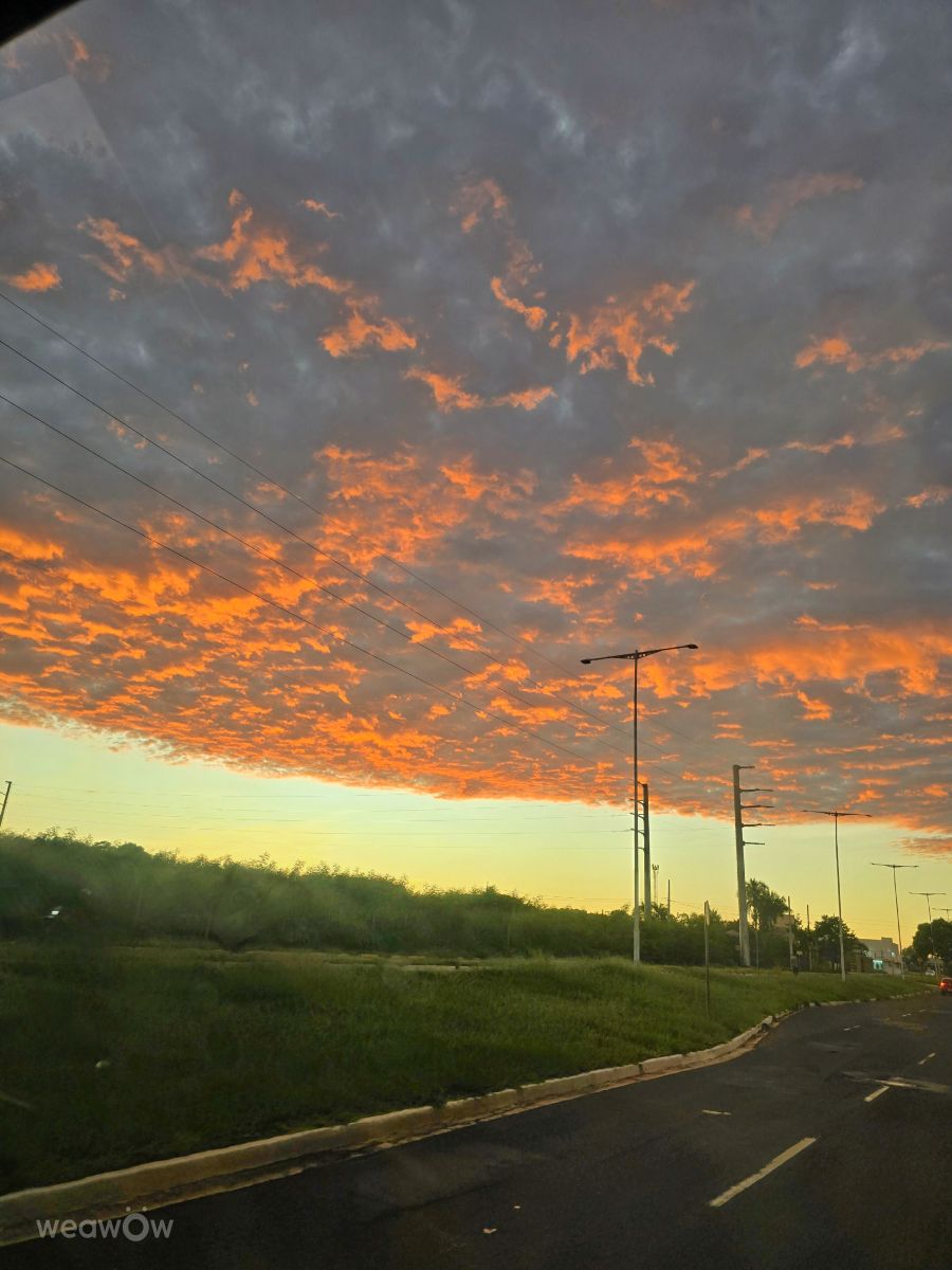 南马托格罗索州的天气照片. 天气预报，带danilolima精美的照片