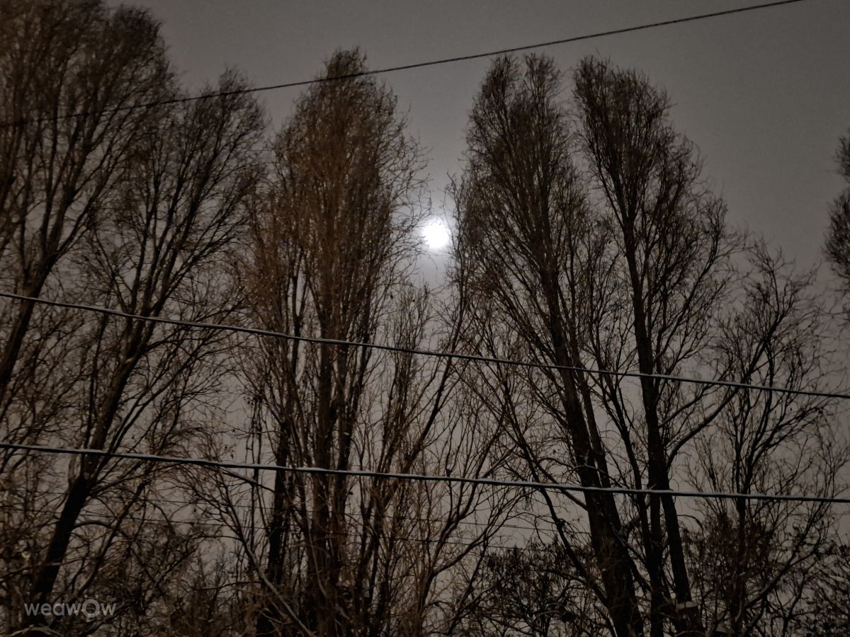 Photographer Iryna, Weather Photos in Kharkiv - Weawow