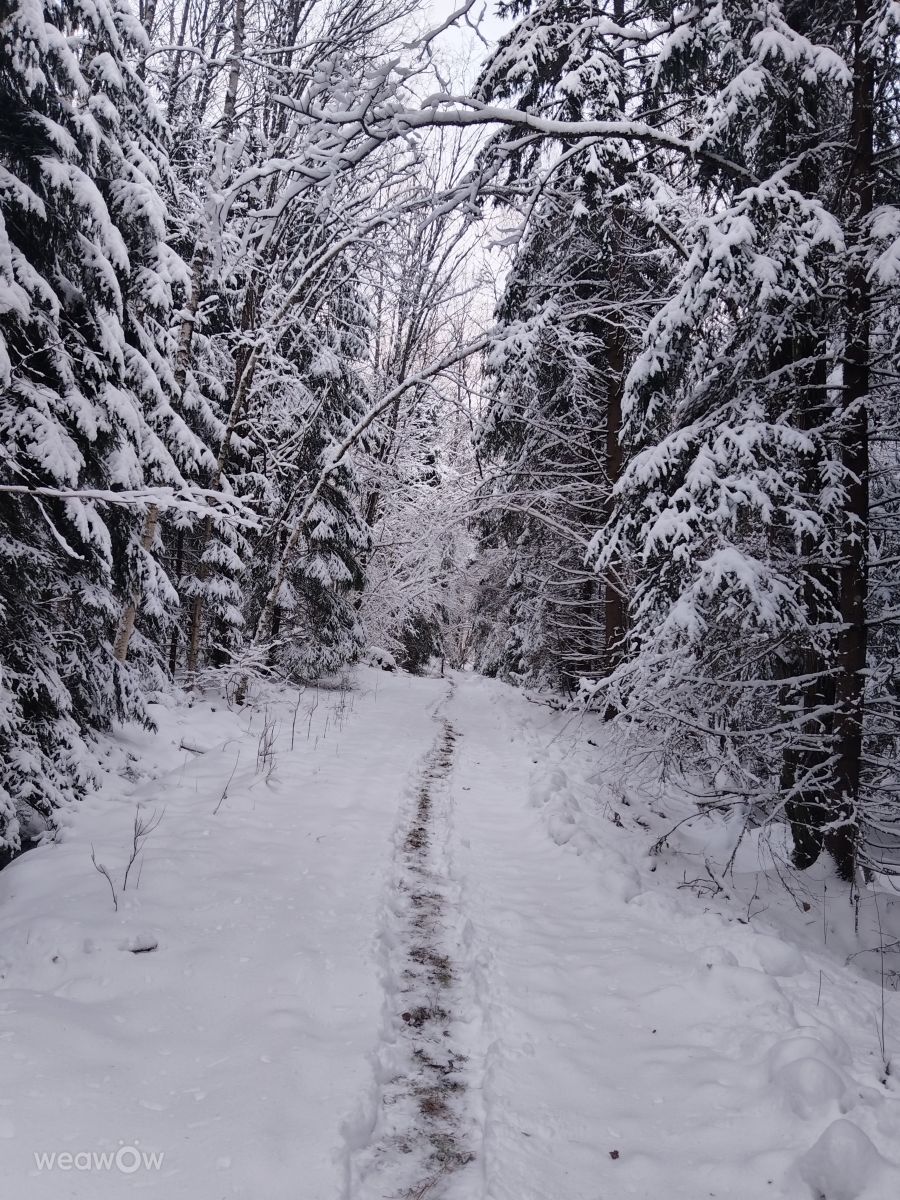 Фотографии Погоды в Швеция. Прогнозы погоды с чудесными фотографиями, сделанными Auau