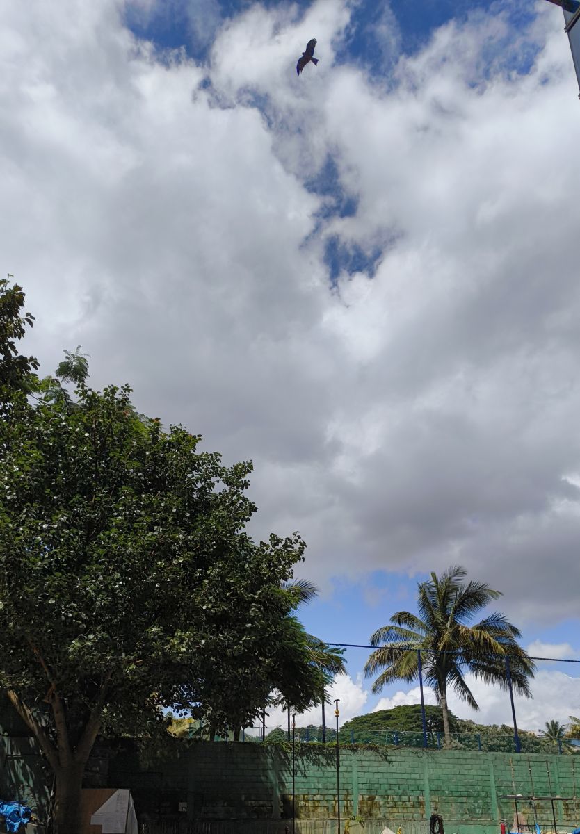 Wetter Photos Karnataka. Wettervorhersagen mit schönen Fotos von Mr么Jarvis