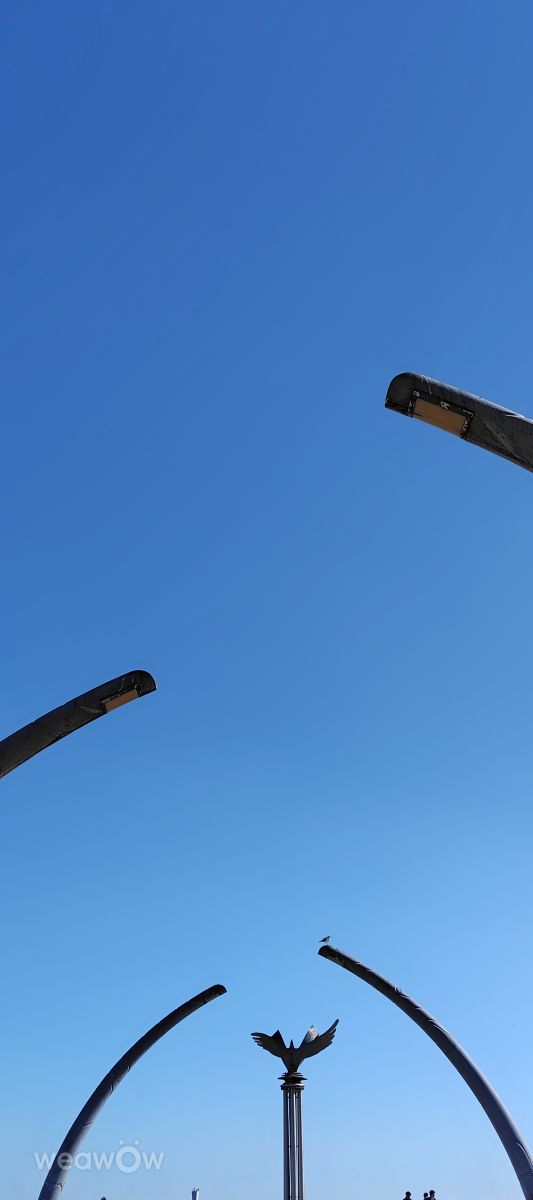 Photographer umemui, Weather Photos in Atami - Weawow