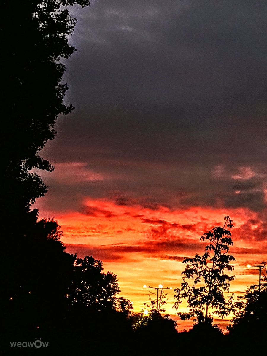Weather Photos in Gdansk. Weather forecasts with beautiful photos by Wiesiek