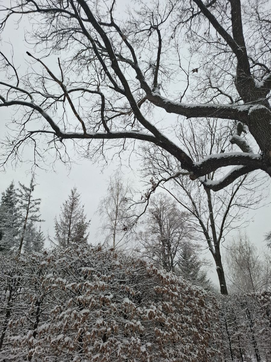 Photographer Iryna, Weather Photos in Kharkiv - Weawow