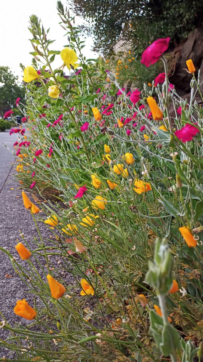 Fotos sobre el clima en Seattle. Pronósticos del tiempo con hermosas fotos de Pvrrr7110