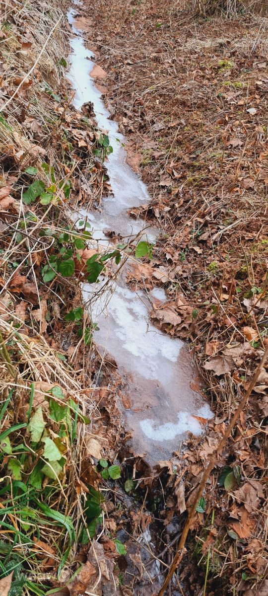 ザールラント州の天気写真. Neonchenの美しい写真による天気予報