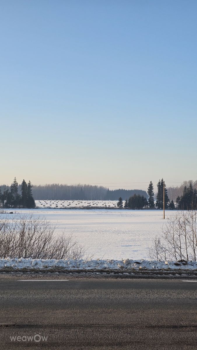 Weather Photos in لاتفيا. Weather forecasts with beautiful photos by Sandra Bokisha