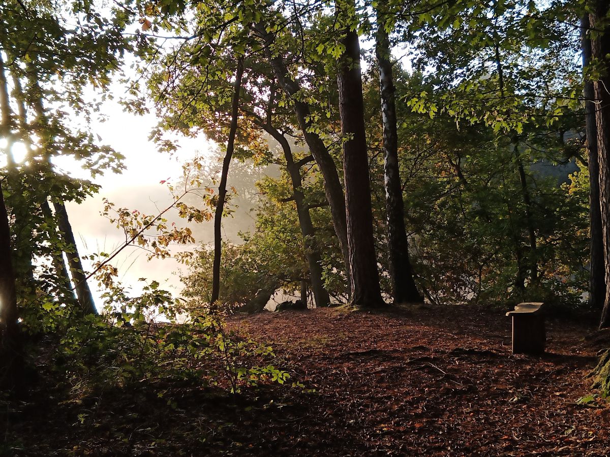 Фотографии Погоды в Ahlhorner Fischteiche. Прогнозы погоды с чудесными фотографиями, сделанными fwerner