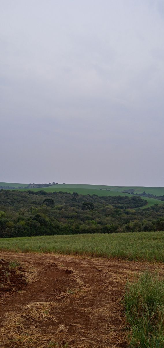Wetter Photos Vacaria. Wettervorhersagen mit schönen Fotos von ndresilva