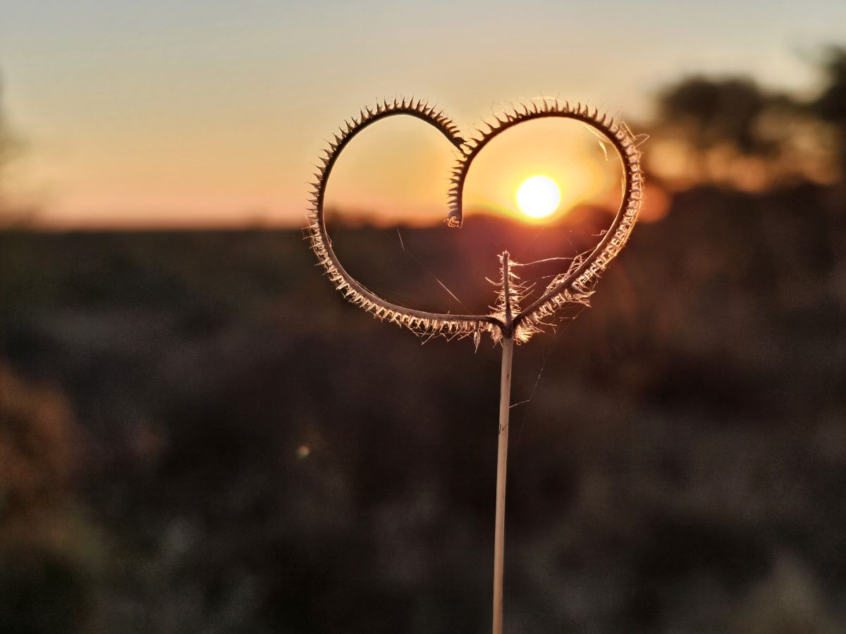 Weather forecasts with beautiful photos by dogsister
