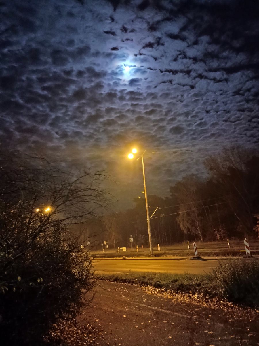 写真家 David0ffx、トルンの天気写真 - Weawow