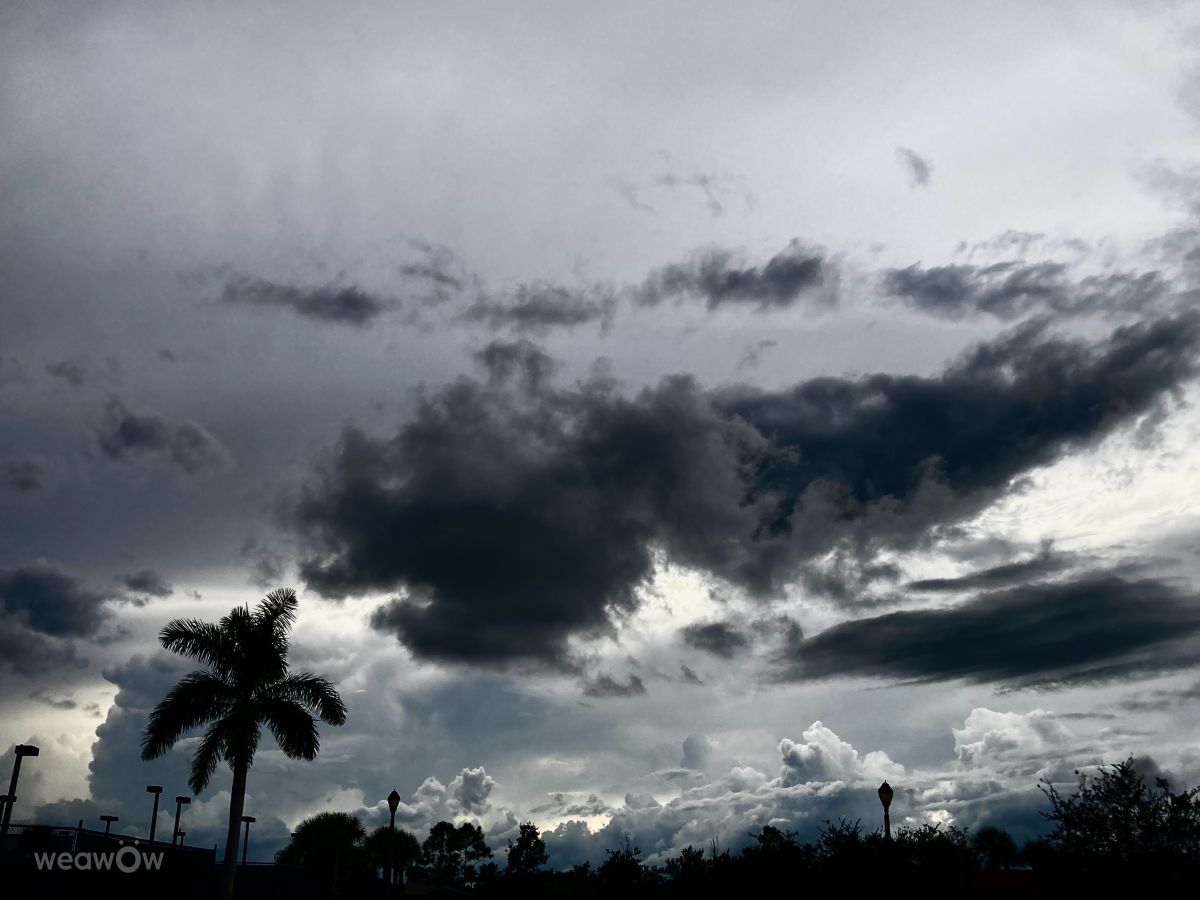 Prévisions météo avec de superbes photos de FaeryInFlorida