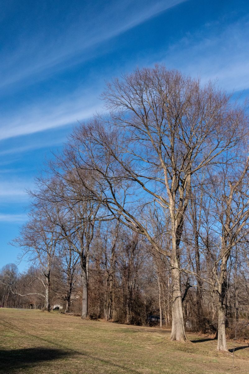 Photographer krantzjh, Weather Photos in Hanover - Weawow