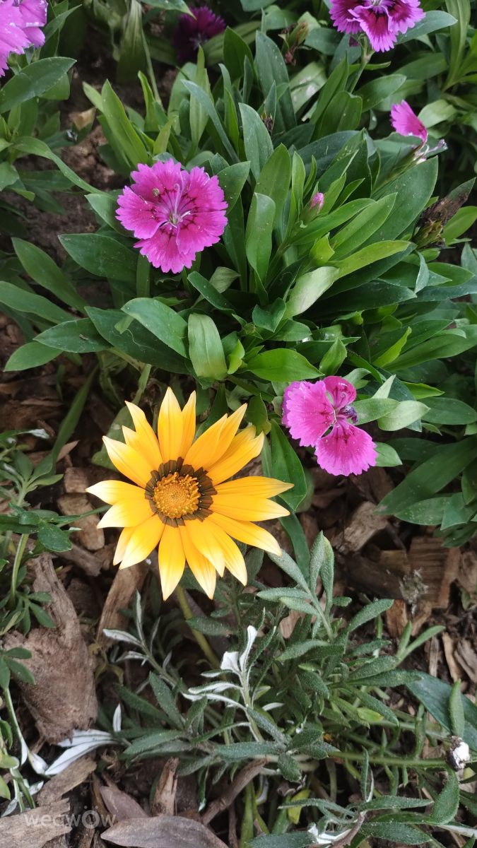 Santa Fe的天气照片. 天气预报，带alma_en_foto精美的照片