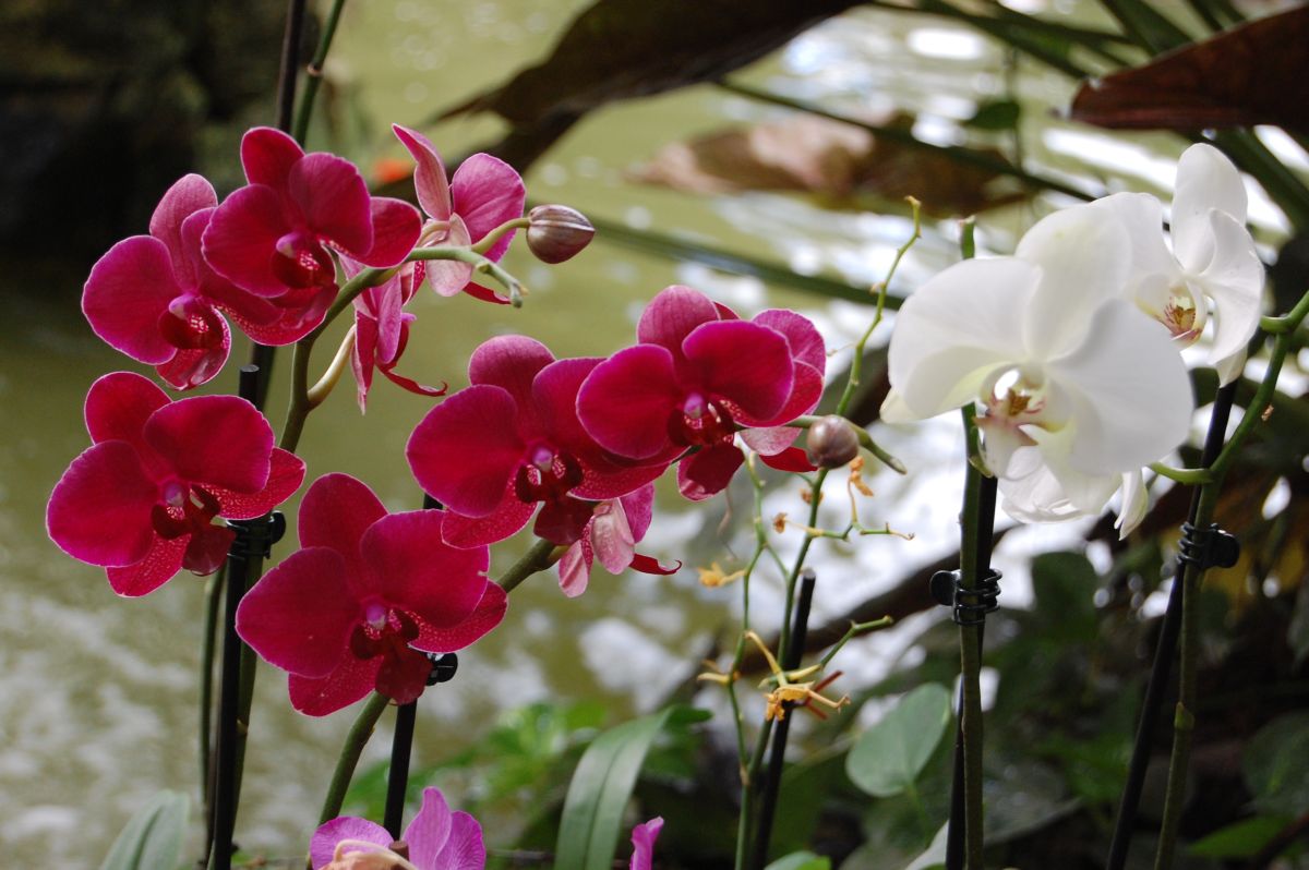 Weather Photos in Palestine. Weather forecasts with beautiful photos by Sviatoslav