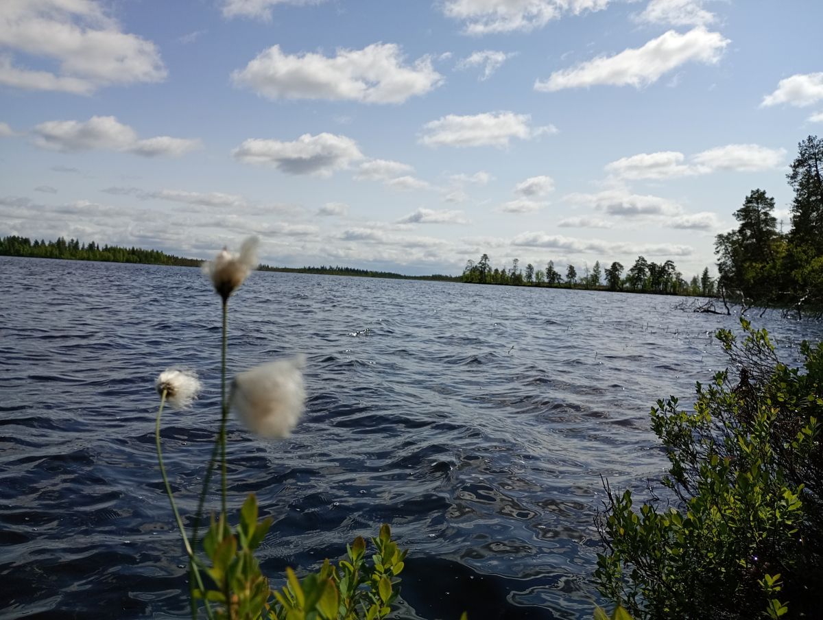 Laplandの天気写真. Jukiの美しい写真による天気予報