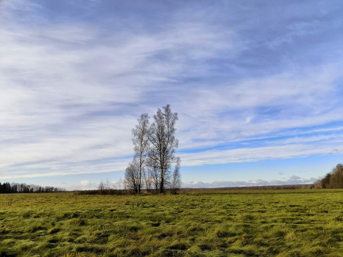 摄影师 Aleksei，Yasnaya Polyana的天气照片 - Weawow