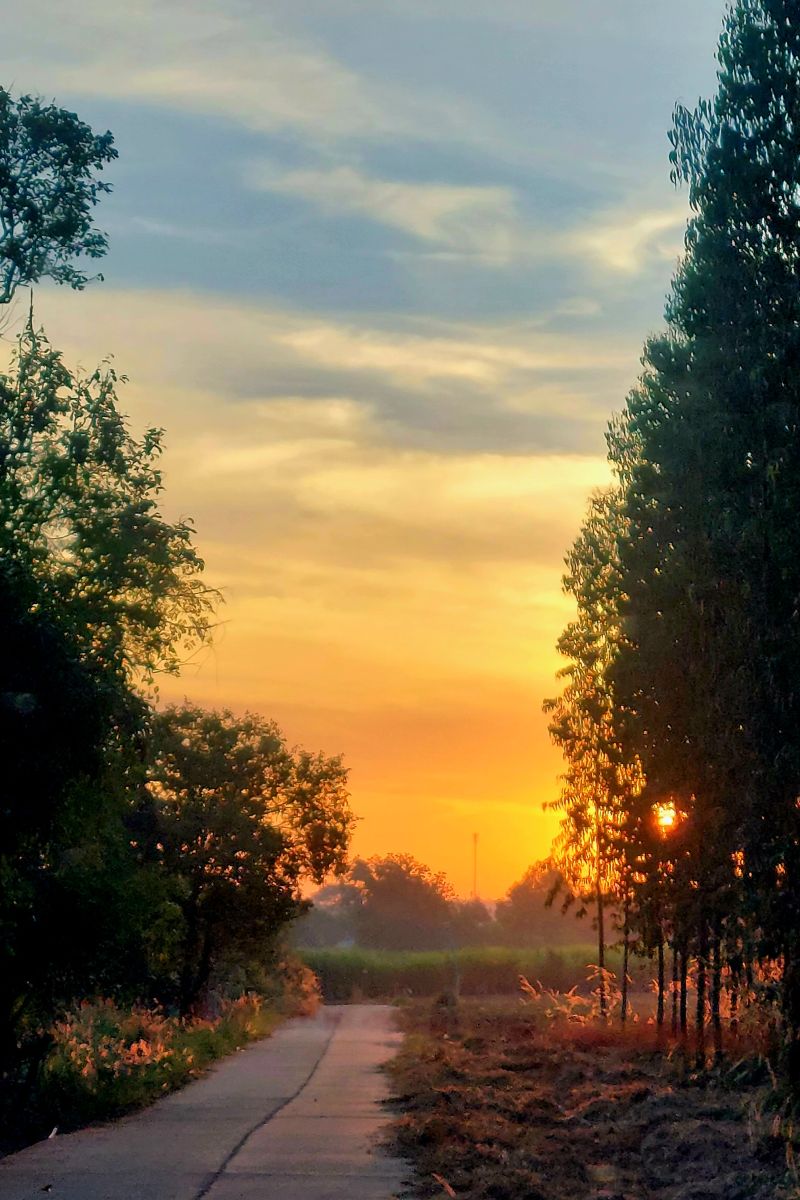 Dự báo thời tiết với những bức ảnh đẹp của สมชาย สุชินโต