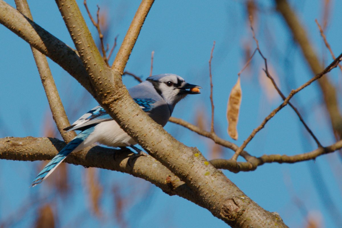 Фотографии Погоды в Hanover. Прогнозы погоды с чудесными фотографиями, сделанными krantzjh
