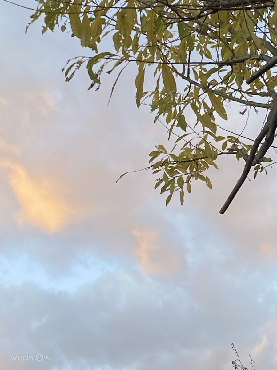 Fotógrafo Lulu5523, Fotos sobre el clima en le Plateau - Weawow