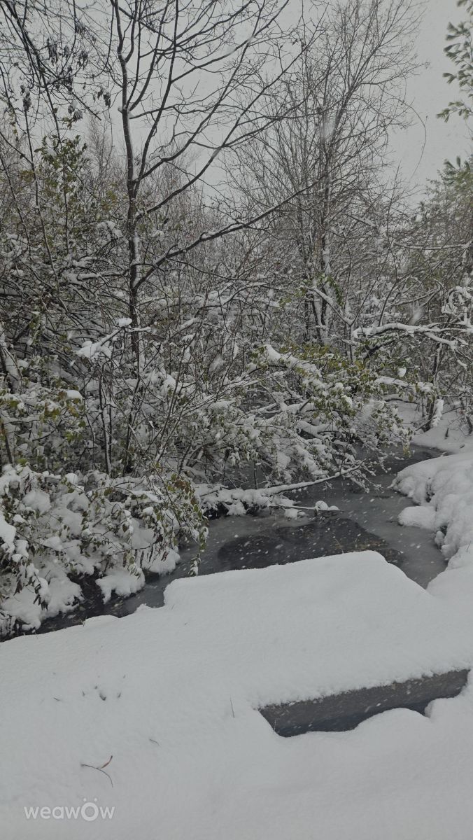 密蘇里州的天气照片. 天气预报，带DV13精美的照片