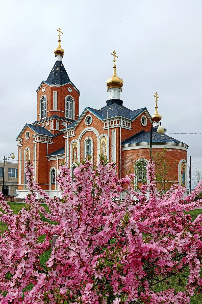 Прогнозы погоды с чудесными фотографиями, сделанными ElenaMak
