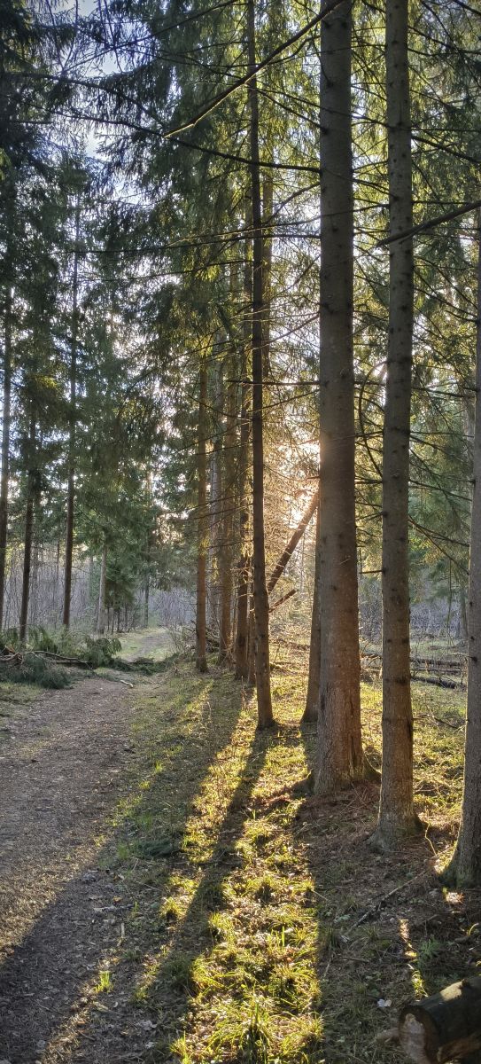 Fotos sobre el clima en Kaluga Oblast. Pronósticos del tiempo con hermosas fotos de Aleksei