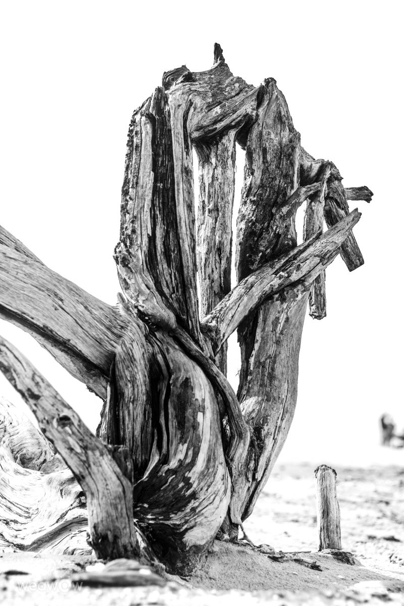 Weather Photos in Talsi Municipality. Weather forecasts with beautiful photos by Jaunskalze Raimonds