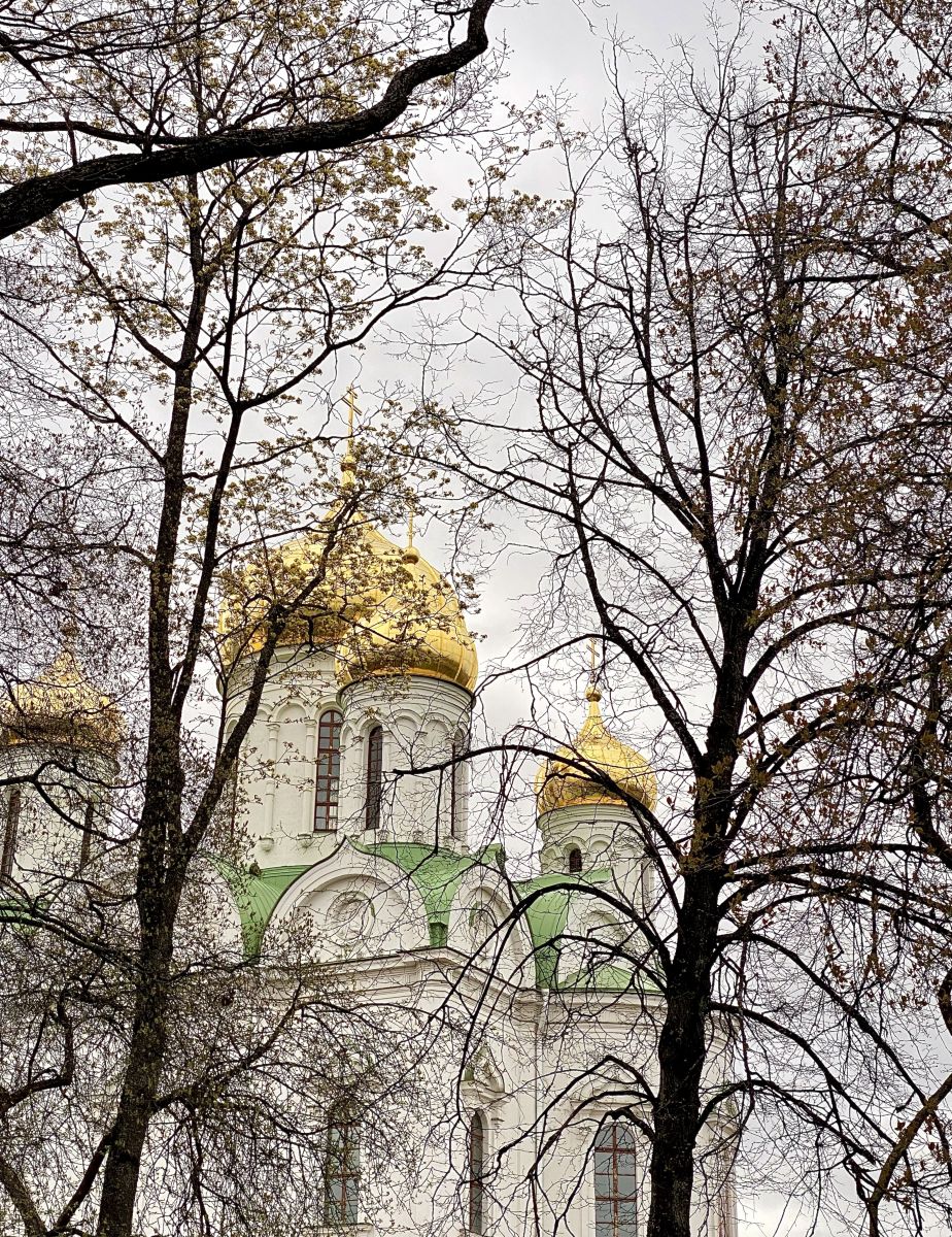 Weather Photos in Pushkin. Weather forecasts with beautiful photos by ArinaGrin
